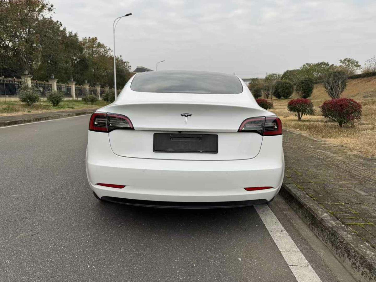 特斯拉 Model S  2021款 Plaid Plus 版圖片