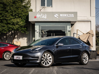 2020年1月 特斯拉 Model 3 標(biāo)準(zhǔn)續(xù)航后驅(qū)升級(jí)版圖片