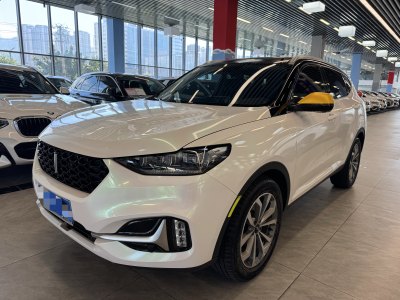 2019年3月 WEY VV6 2.0T 四驱旗舰型图片