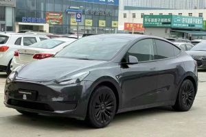 Model Y 特斯拉 Performance高性能全轮驱动版