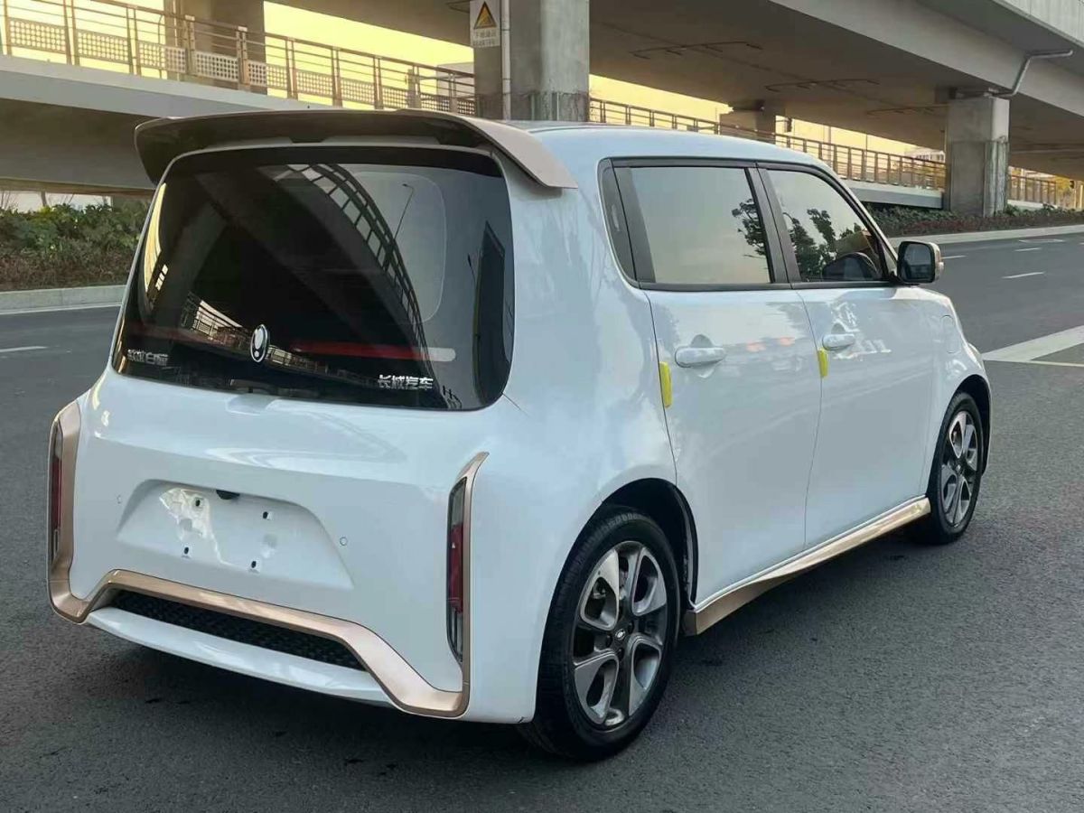 歐拉 歐拉閃電貓  2022款 555km 豪華版圖片