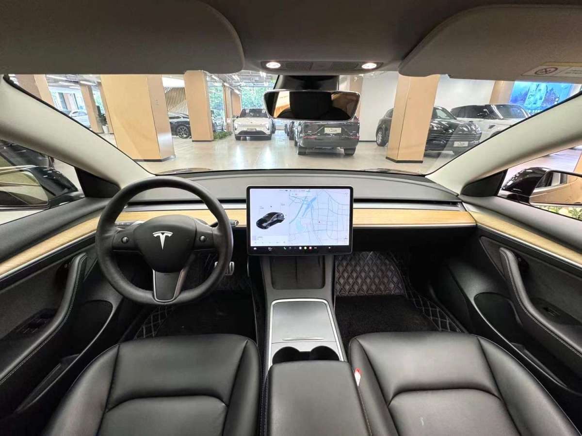 特斯拉 Model 3  2019款 Performance高性能全輪驅(qū)動版圖片