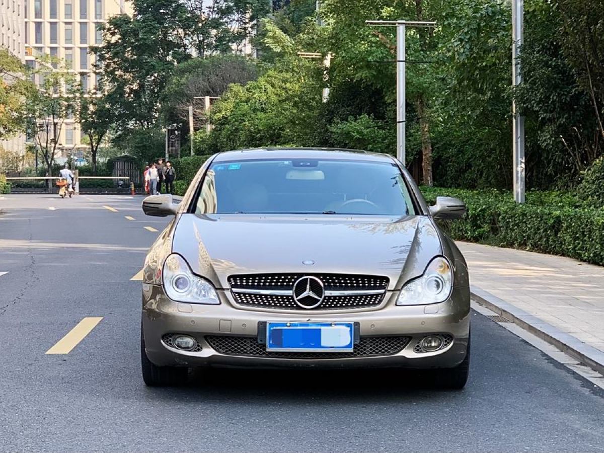 奔馳 奔馳CLS級  2009款 CLS 300圖片