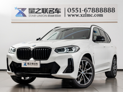 2023年6月 宝马 宝马X3 xDrive30i 领先型 M曜夜套装图片