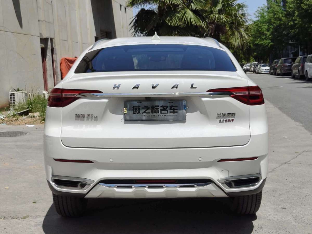 哈弗 哈弗F7x  2019款  2.0T 兩驅極智潮玩版圖片