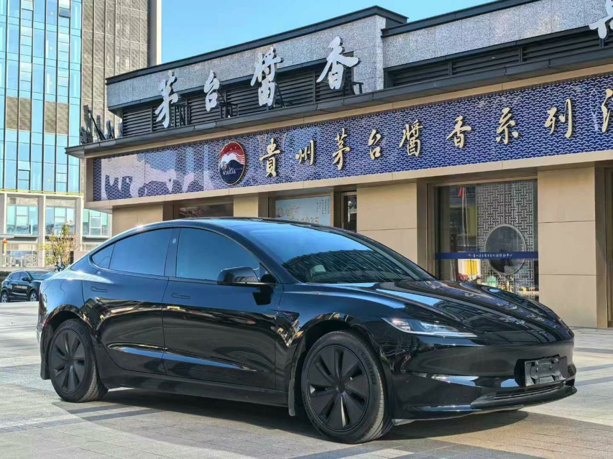 特斯拉 Model S  2023款 三電機(jī)全輪驅(qū)動(dòng) Plaid版圖片