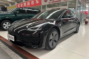Model 3 特斯拉 改款 標(biāo)準(zhǔn)續(xù)航后驅(qū)升級(jí)版