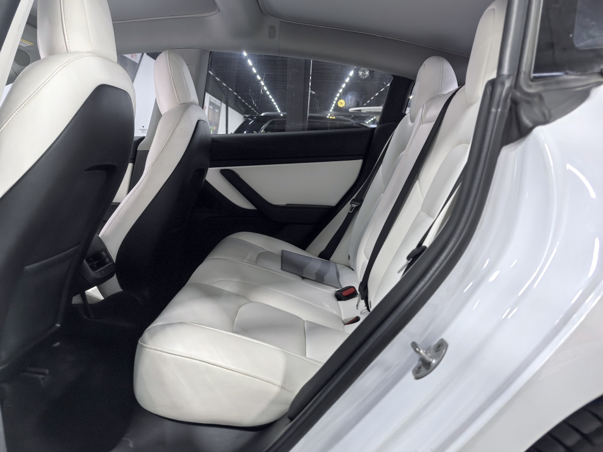 特斯拉 Model 3  2019款 長續(xù)航后驅(qū)版圖片