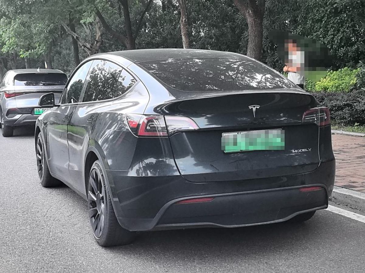 特斯拉 Model 3  2021款 改款 標準續(xù)航后驅(qū)升級版圖片