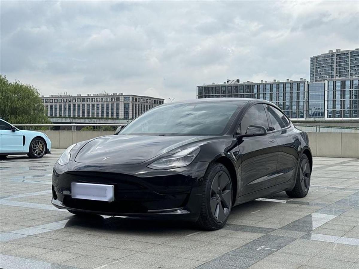 2021年1月特斯拉 Model 3  2021款 改款 標(biāo)準(zhǔn)續(xù)航后驅(qū)升級版