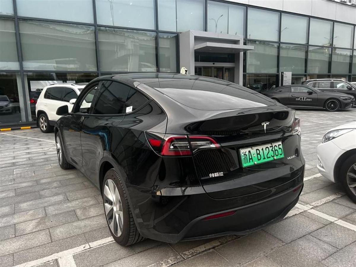 特斯拉 Model Y  2020款 改款 長續(xù)航后輪驅(qū)動版圖片