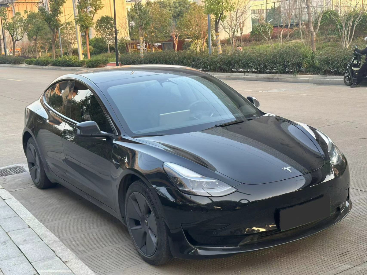 特斯拉 Model 3  2022款 后輪驅動版圖片