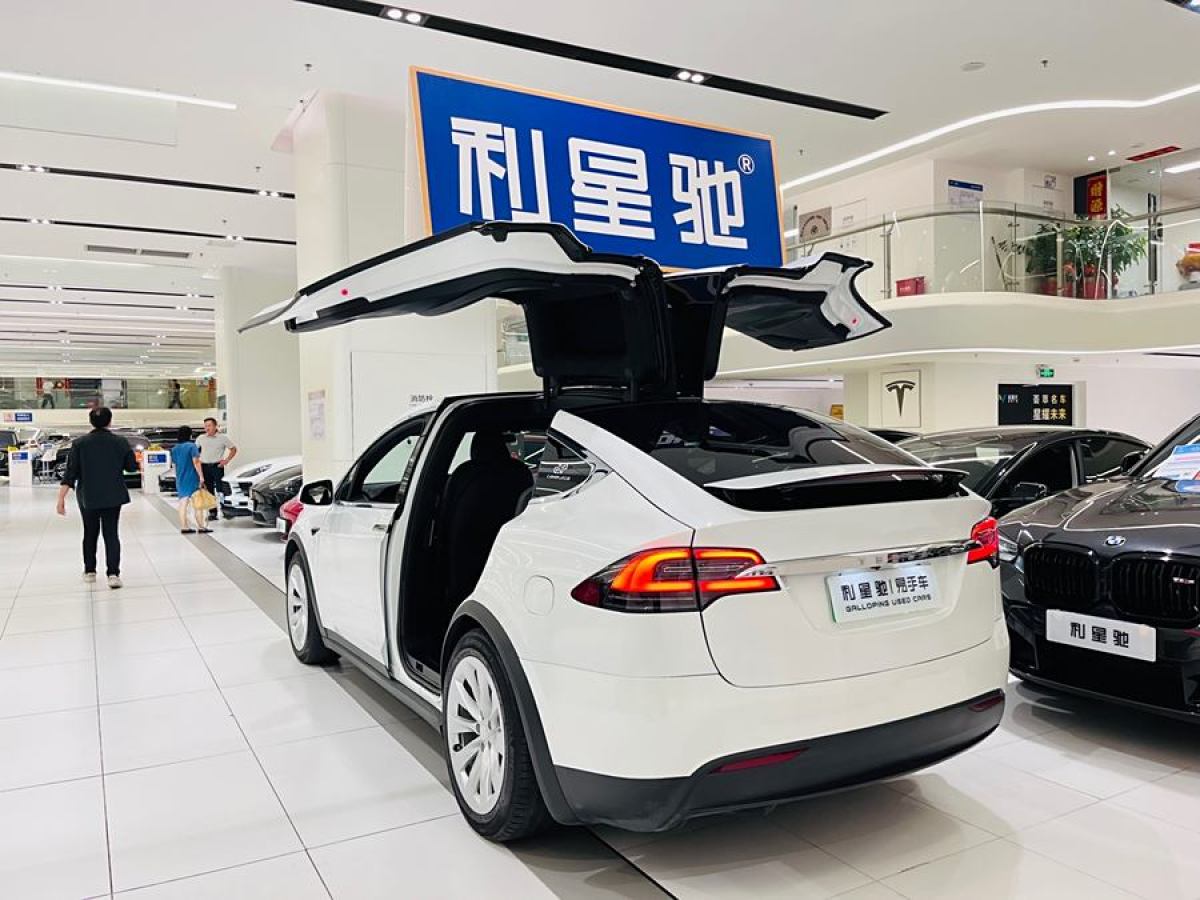 特斯拉 Model X  2019款 長續(xù)航版圖片