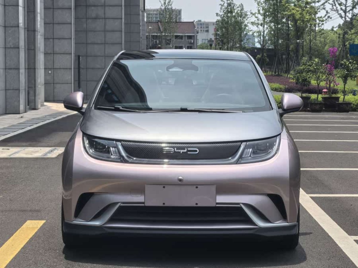 比亞迪 海豚  2021款 401km 騎士版圖片