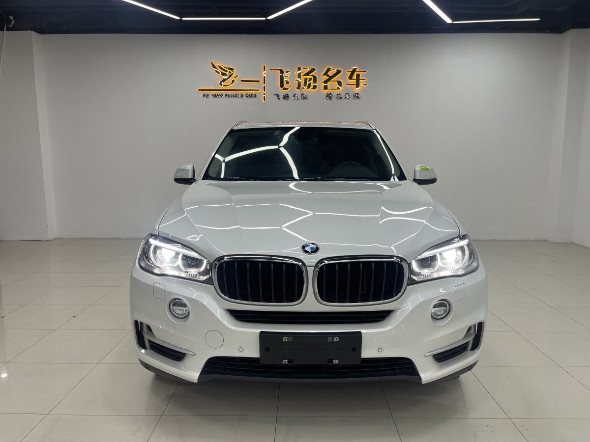 2015年3月寶馬 寶馬X5  2014款 xDrive35i 領(lǐng)先型