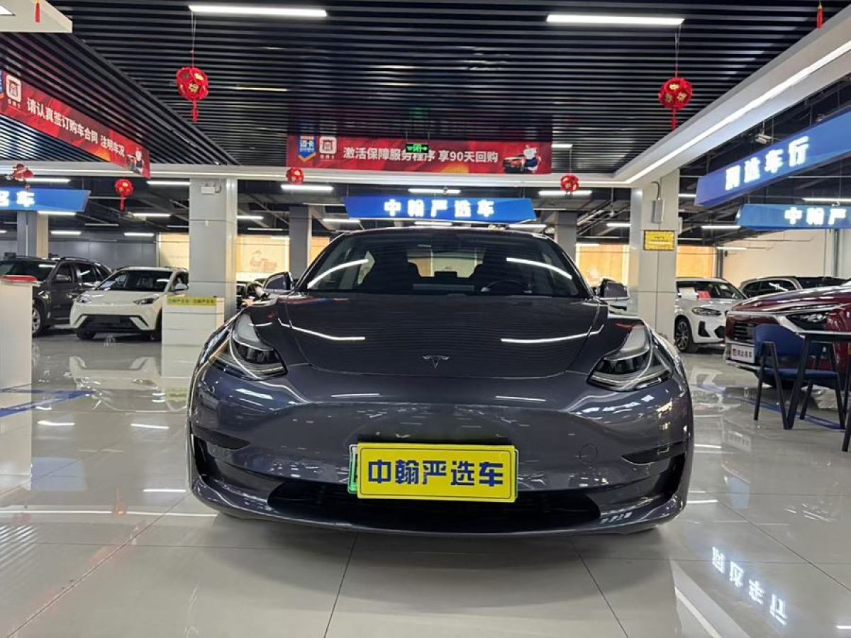 特斯拉 Model 3  2019款 標(biāo)準(zhǔn)續(xù)航后驅(qū)升級(jí)版圖片