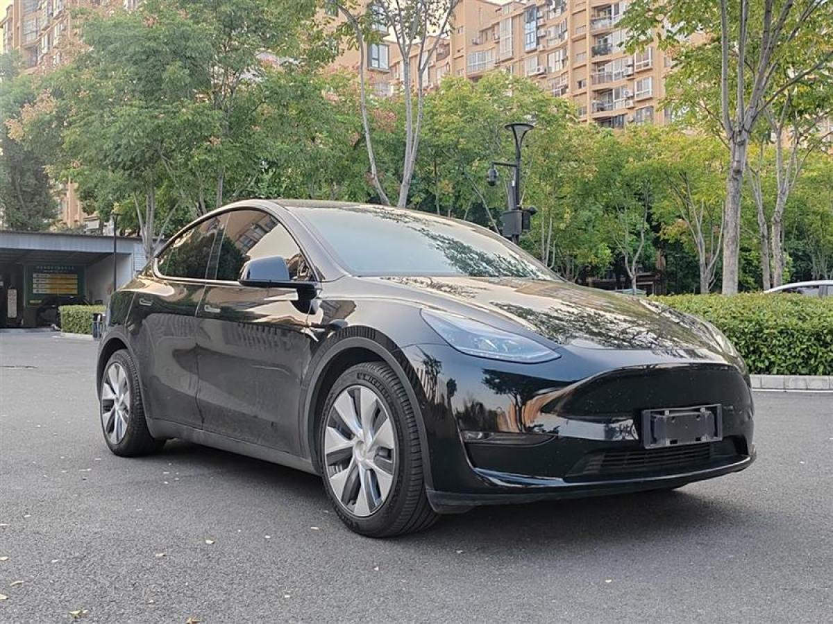 特斯拉 Model Y  2021款 改款 標(biāo)準(zhǔn)續(xù)航后驅(qū)升級(jí)版圖片