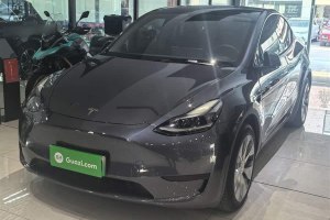 Model Y 特斯拉 改款 后輪驅(qū)動(dòng)版