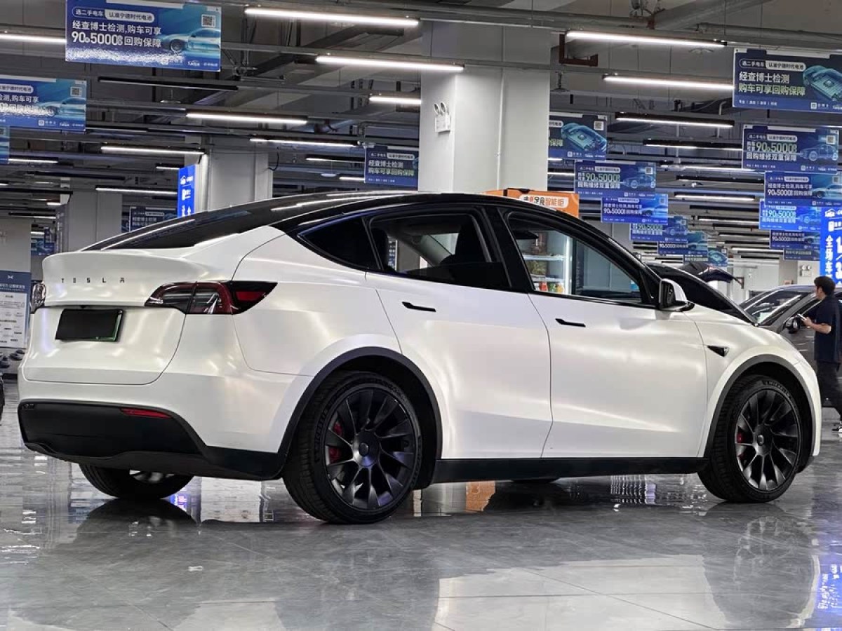 特斯拉 Model Y  2021款 標(biāo)準(zhǔn)續(xù)航后驅(qū)版圖片
