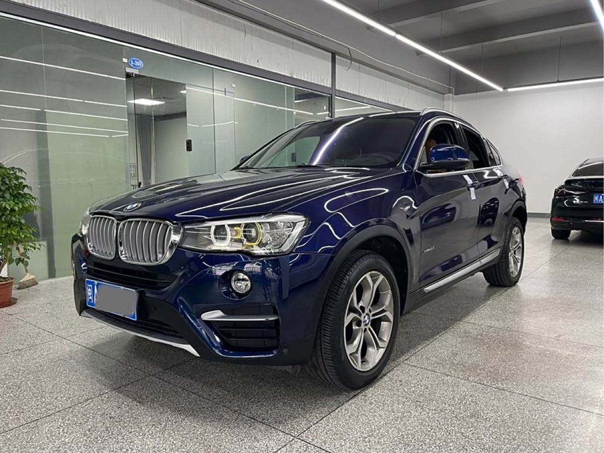 寶馬 寶馬X4  2014款 xDrive20i X設(shè)計(jì)套裝圖片