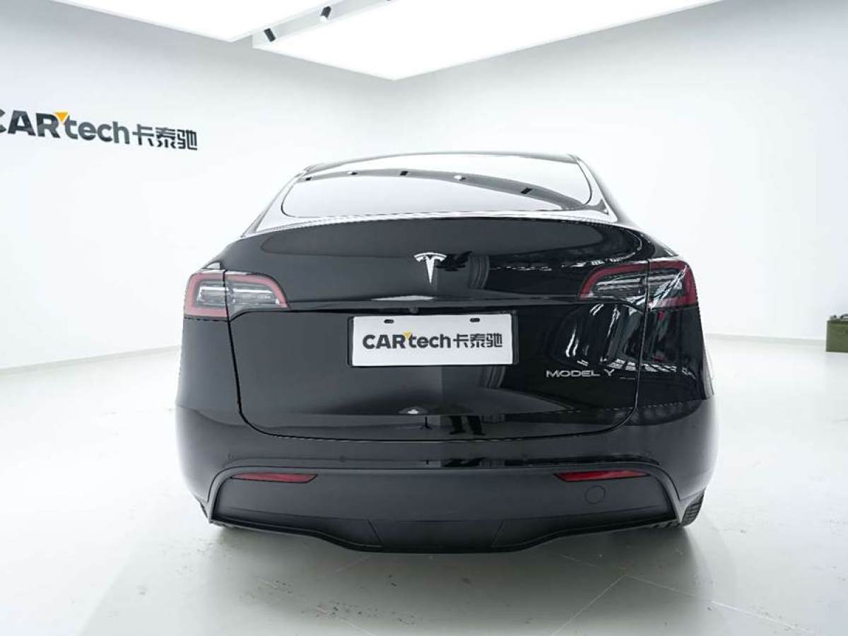 特斯拉 Model Y  2020款 改款 長續(xù)航后輪驅(qū)動版圖片