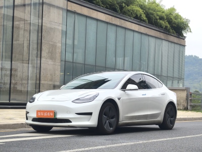 2020年8月 特斯拉 Model 3 標(biāo)準(zhǔn)續(xù)航后驅(qū)升級(jí)版圖片