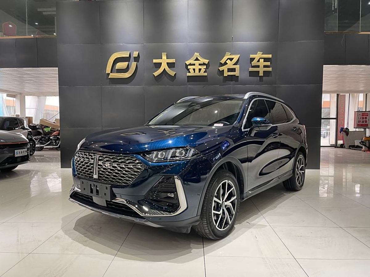 WEY 拿鐵DHT-PHEV  2022款 1.5T 四驅(qū)超大杯圖片