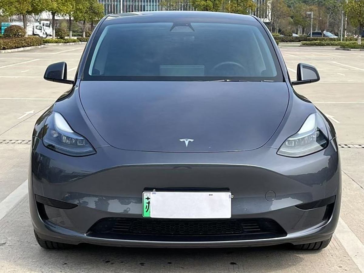 特斯拉 Model 3  2020款 改款 長續(xù)航后輪驅(qū)動版圖片