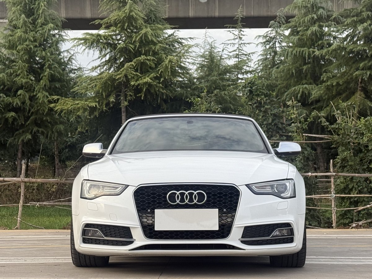 奧迪 奧迪S5  2012款 S5 3.0T Cabriolet圖片