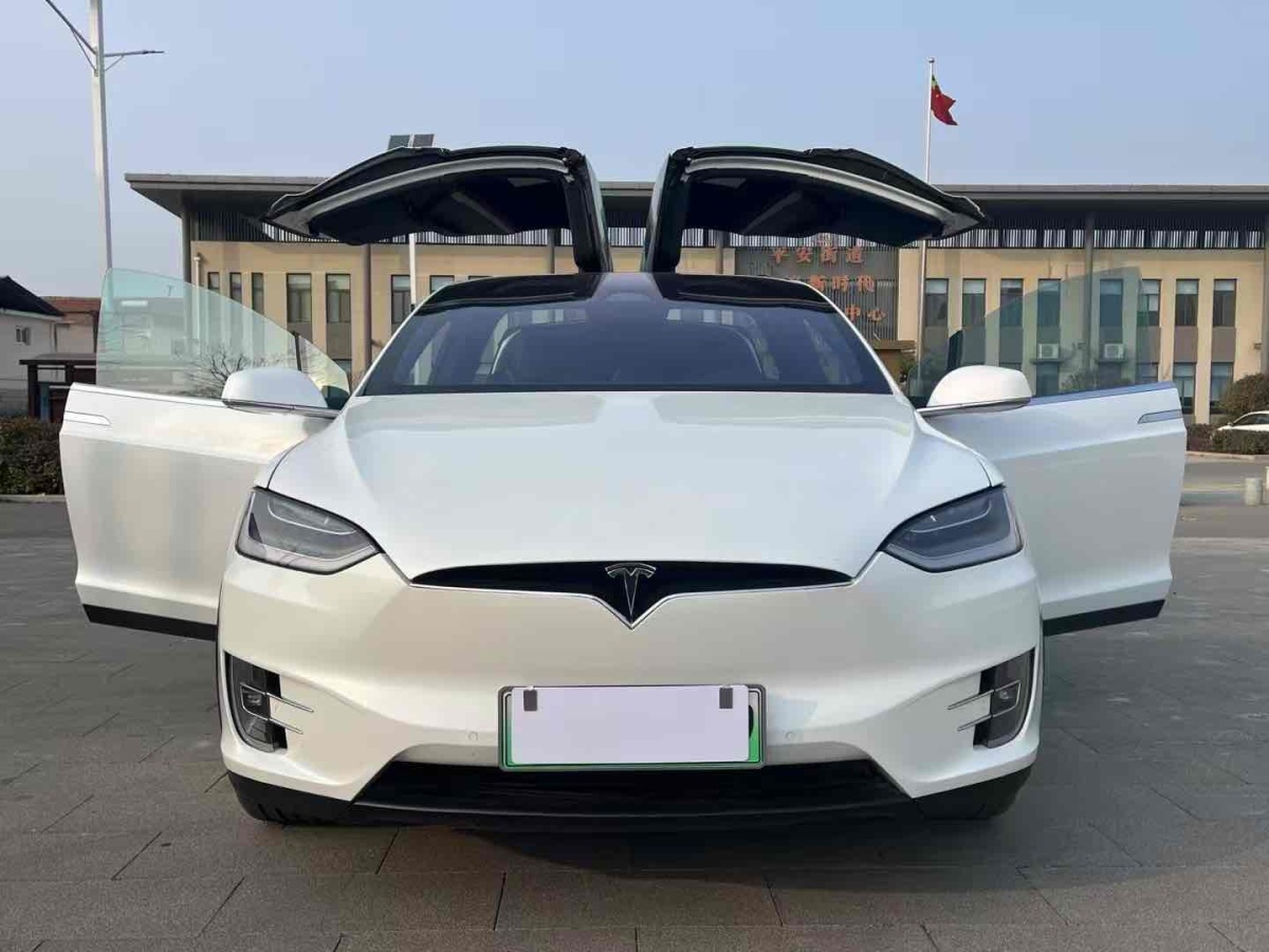 特斯拉 Model X  2019款 Performance 高性能版圖片