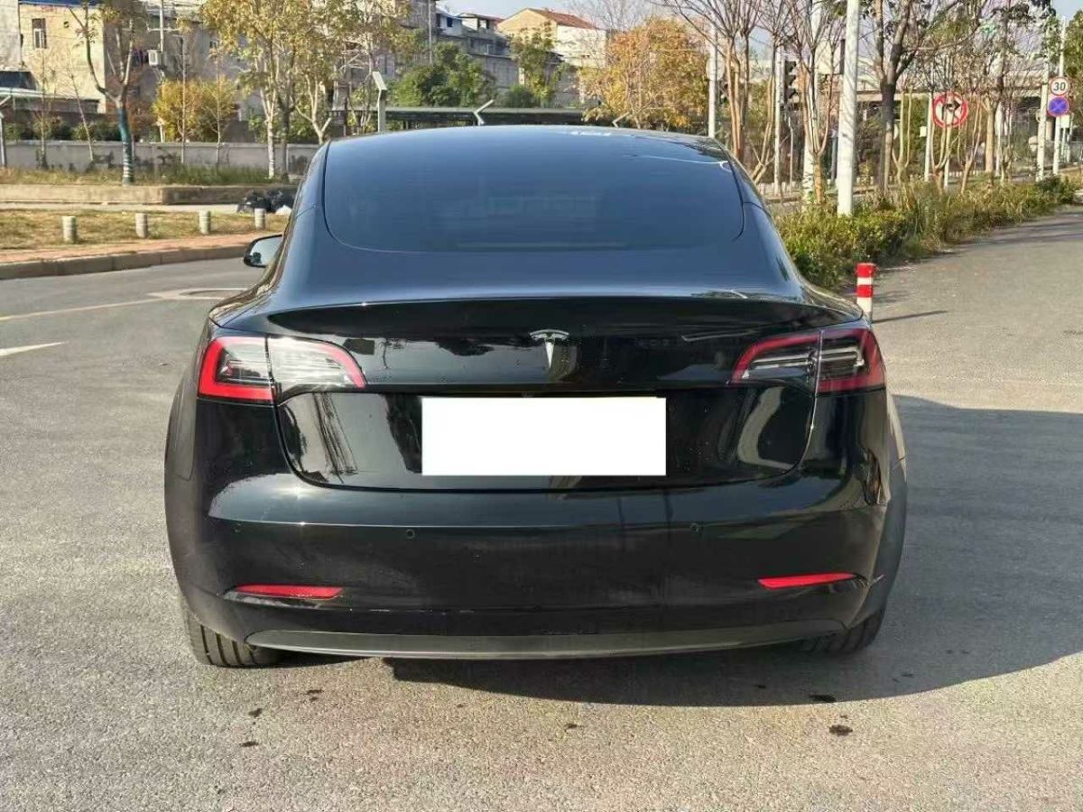 特斯拉 Model S  2023款 三電機全輪驅(qū)動 Plaid版圖片