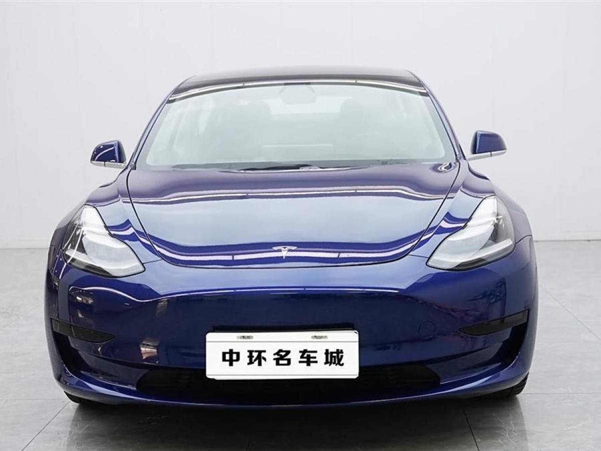 特斯拉 Model 3  2019款 標(biāo)準(zhǔn)續(xù)航后驅(qū)升級版圖片