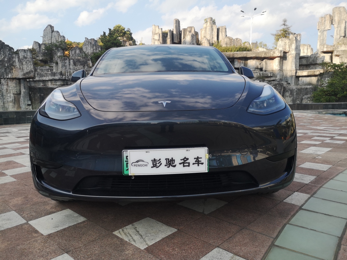 特斯拉 Model Y  2020款 改款 長續(xù)航后輪驅(qū)動版圖片