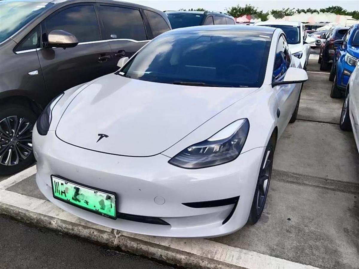 特斯拉 Model 3  2021款 改款 標(biāo)準(zhǔn)續(xù)航后驅(qū)升級(jí)版圖片