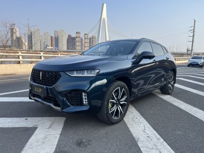 2019年7月 WEY VV7 升級(jí)款 2.0T 旗艦型圖片