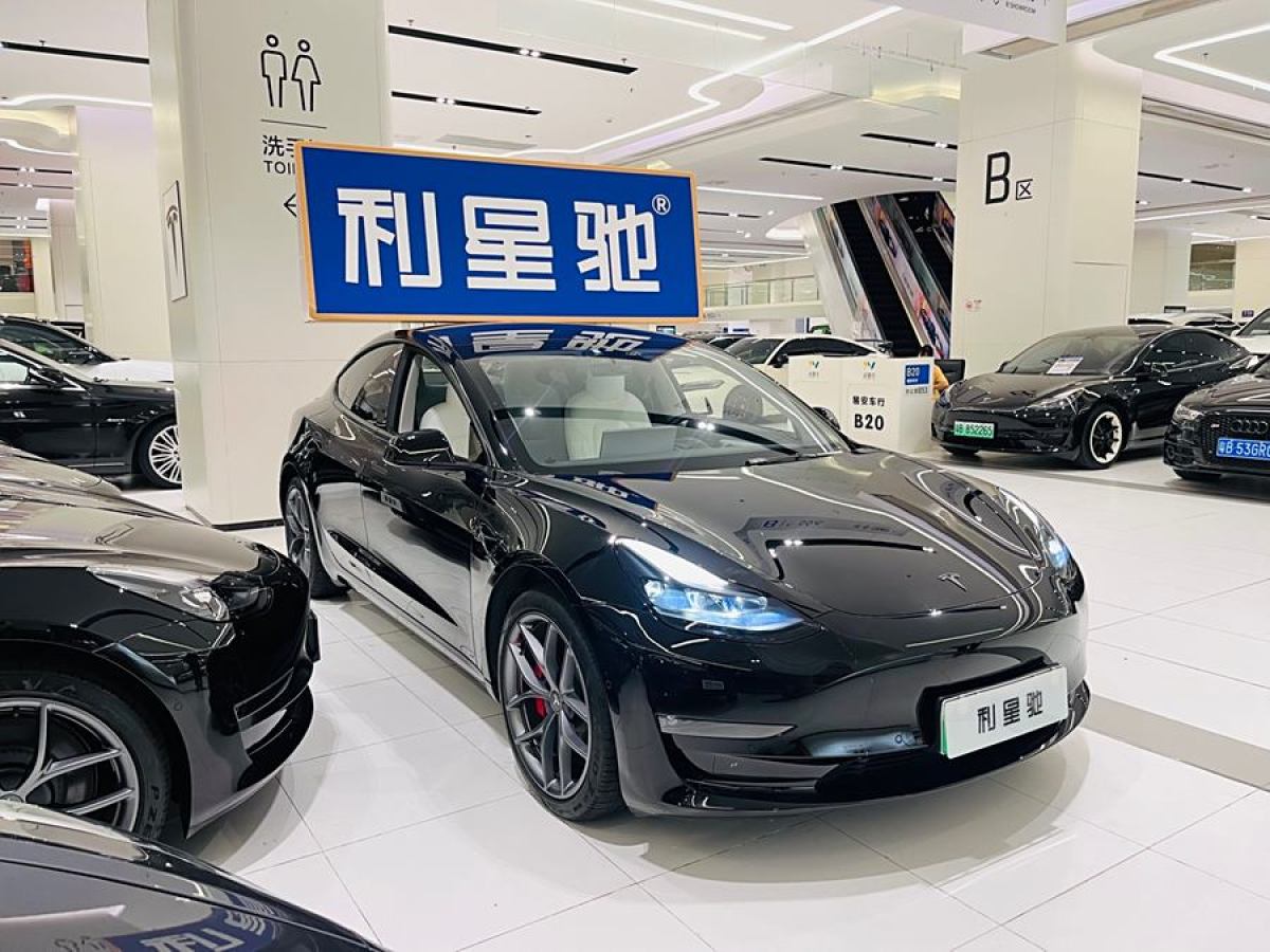 特斯拉 Model 3  2022款 Performance高性能全輪驅(qū)動版圖片