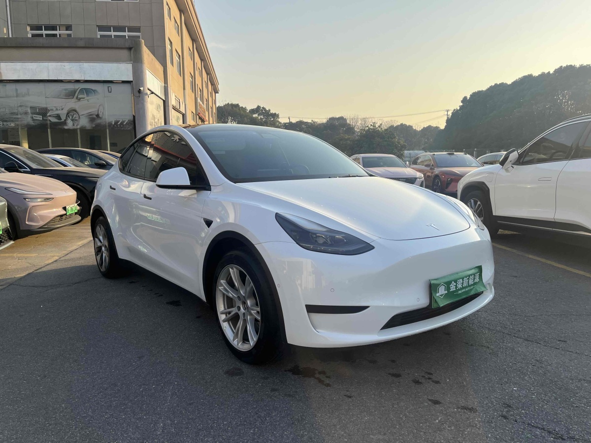 特斯拉 Model 3  2022款 后輪驅(qū)動(dòng)版圖片