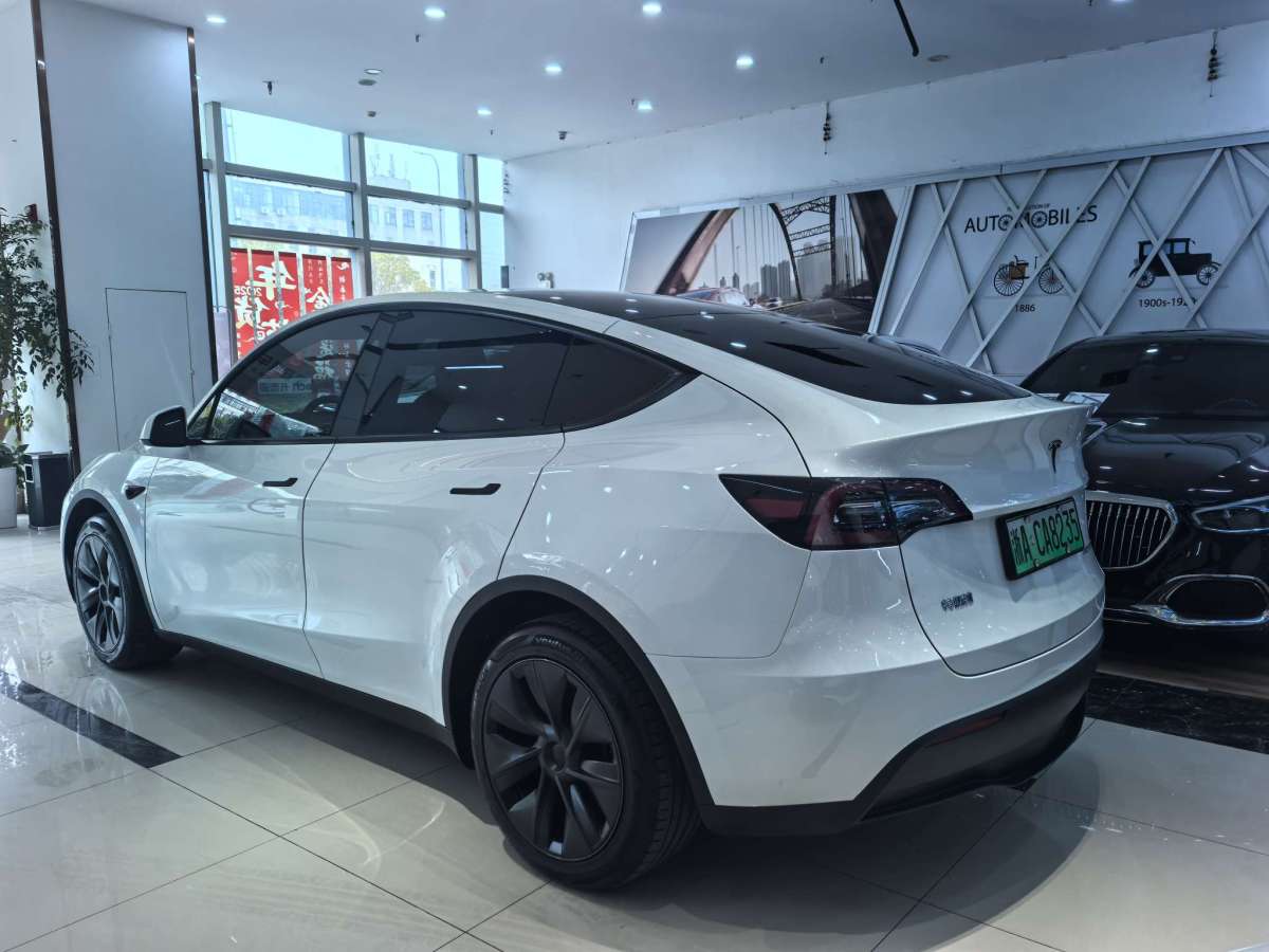 特斯拉 Model Y  2024款 長續(xù)航全輪驅(qū)動版圖片