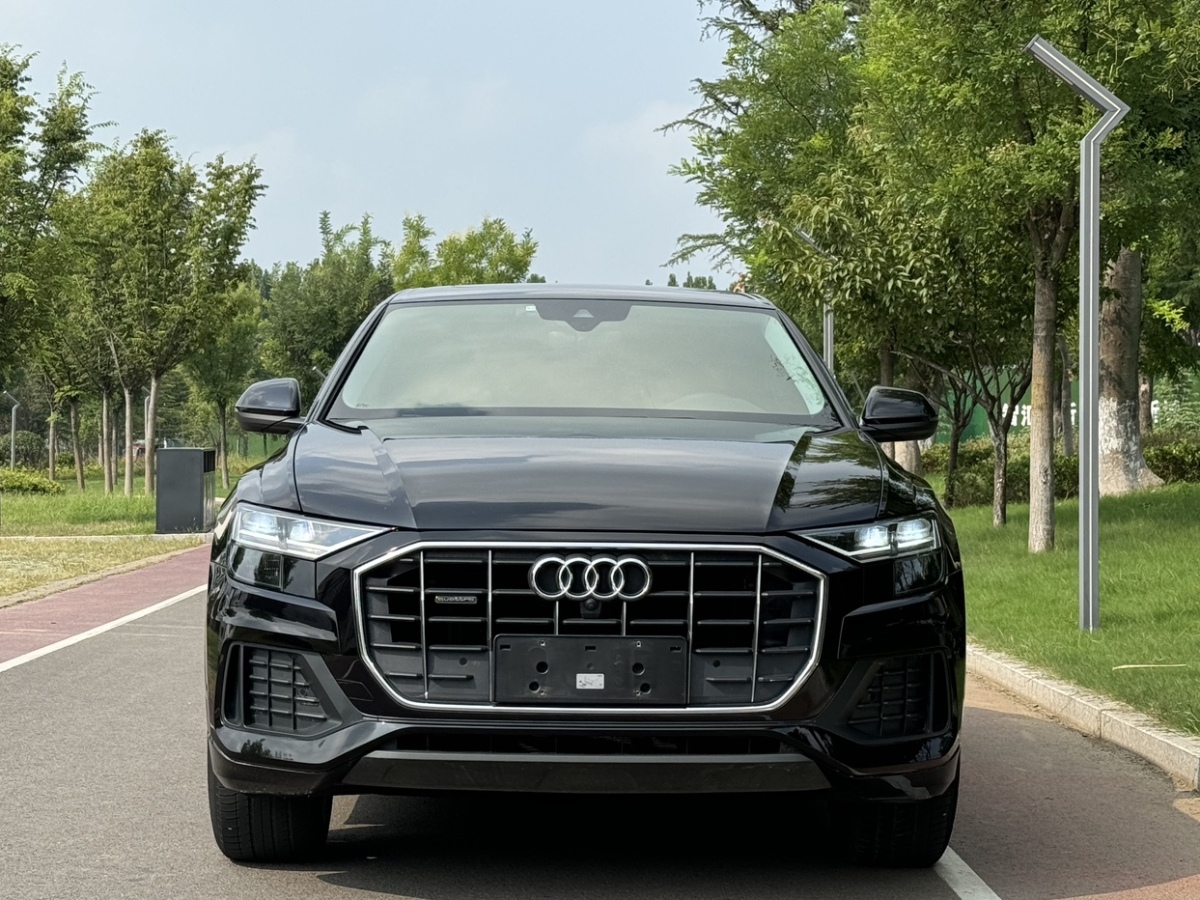 奥迪 奥迪Q8  2021款 45 TFSI 臻选动感型图片