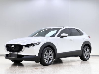 2022年6月 馬自達(dá) CX-30 2.0L 自動(dòng)雅悅型圖片