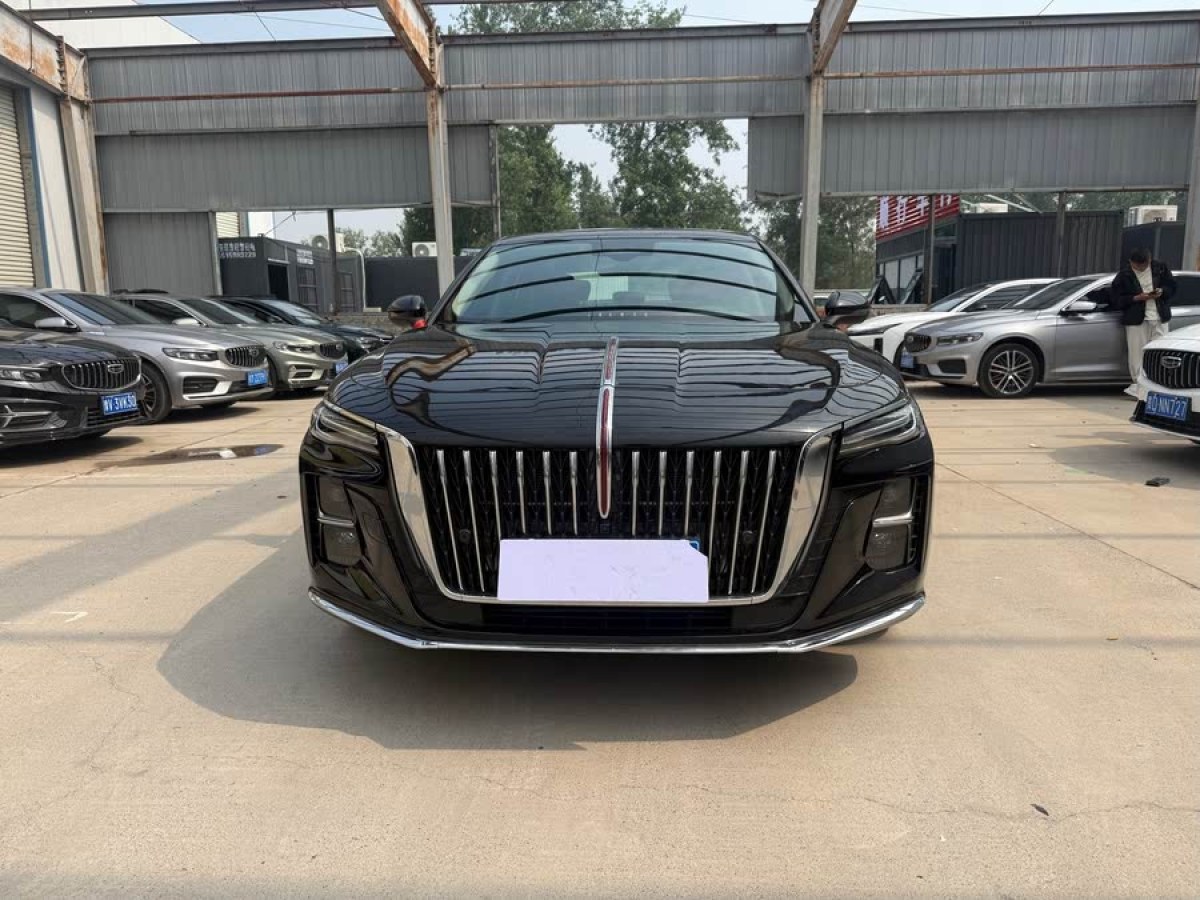 紅旗 H5  2025款 2.0T 自動(dòng)旗暢50萬輛紀(jì)念版圖片