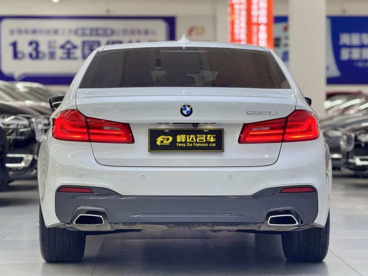 寶馬 寶馬5系  2020款 530Li 領(lǐng)先型 M運動套裝圖片