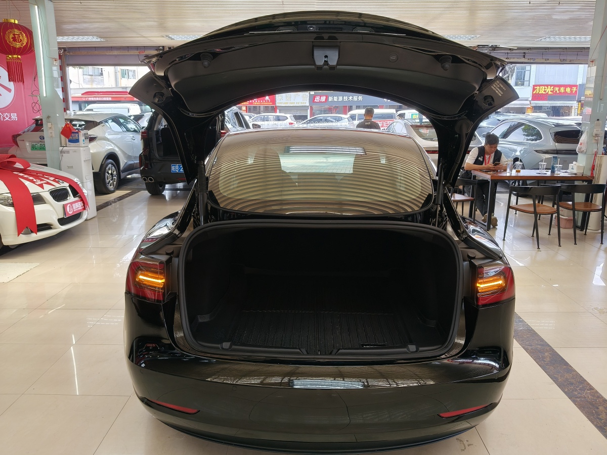特斯拉 Model 3  2021款 改款 標準續(xù)航后驅升級版圖片