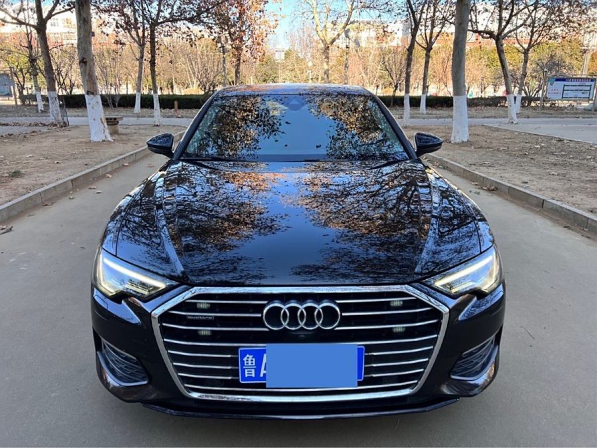 奧迪 奧迪A6L  2019款 45 TFSI quattro 臻選致雅型圖片