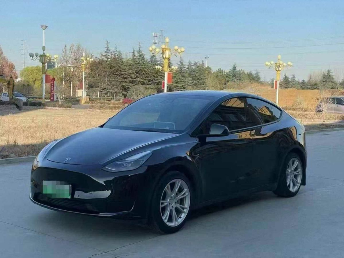 特斯拉 Model 3  2022款 Performance高性能全輪驅(qū)動(dòng)版圖片