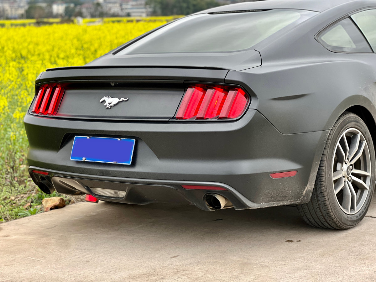 福特 Mustang  2017款 2.3T 性能版圖片