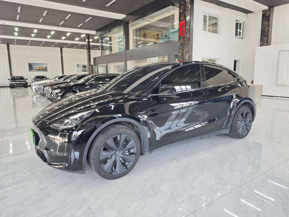 特斯拉 Model 3  2022款 后驅(qū)版圖片