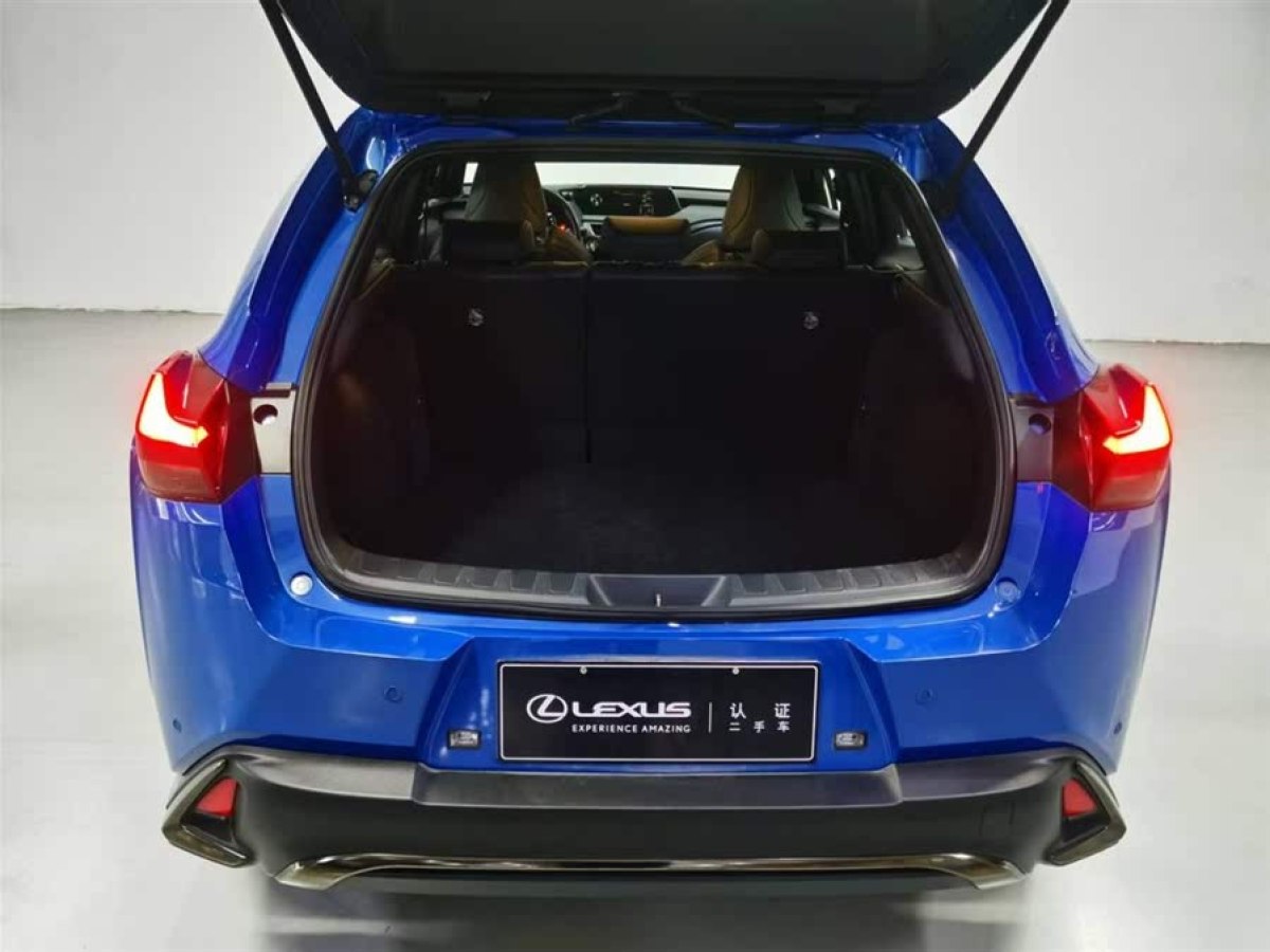 雷克薩斯 UX  2020款 改款 200 F SPORT版圖片