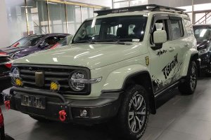 坦克300 坦克 城市版 2.0T 我看型