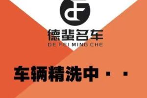 EC5 北汽新能源 新尚版
